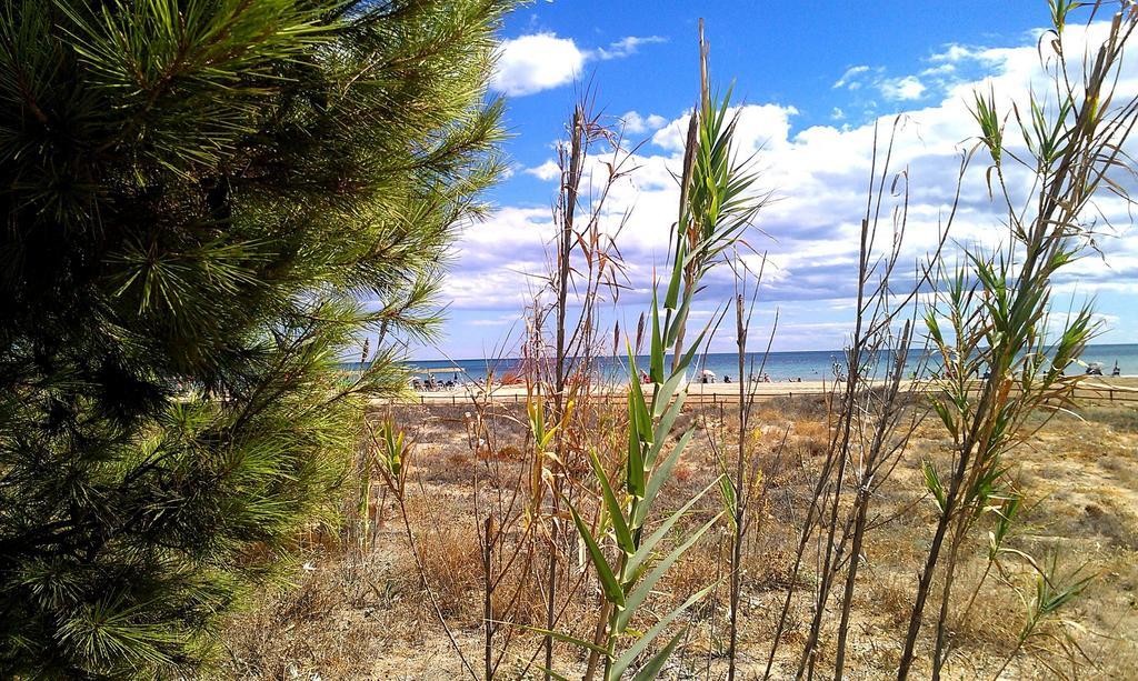 Apcostas - Habitat Playa Romana Daire Alcossebre Dış mekan fotoğraf